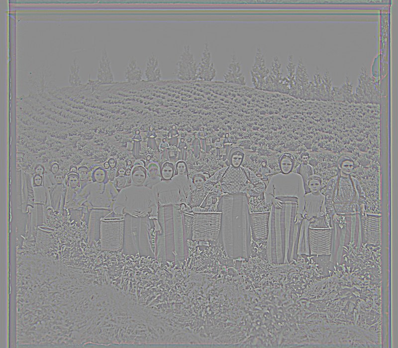 original minus blurred (high frequencies)