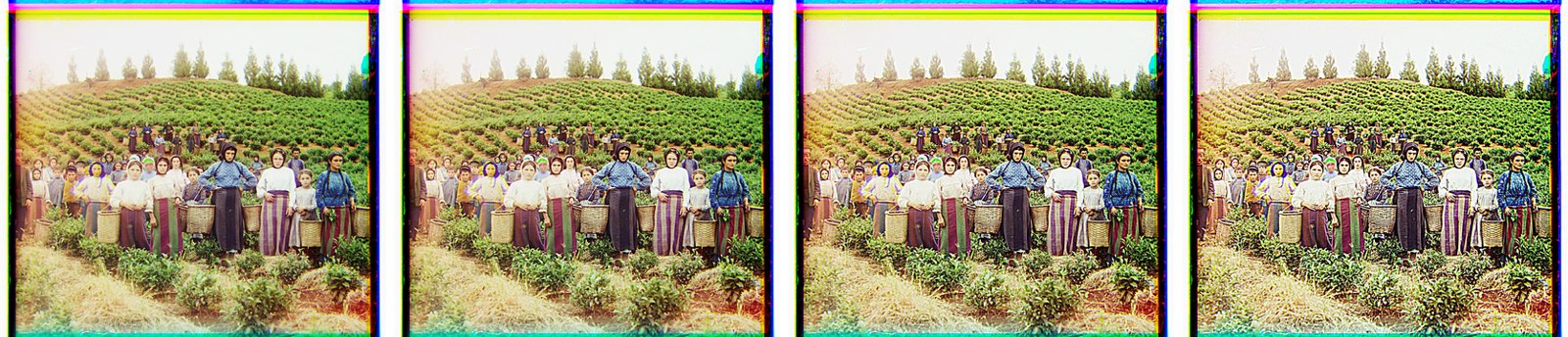 Prokudin-Gorskii's harvesters, α = 0.5, 1, 2 and 4.